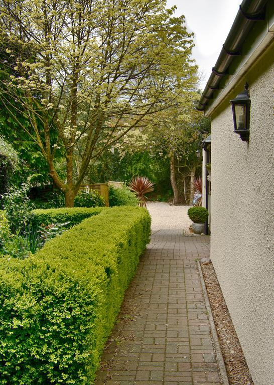 Tumbling Weir Hotel Ottery St Mary Kültér fotó