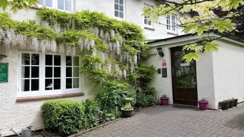 Tumbling Weir Hotel Ottery St Mary Kültér fotó